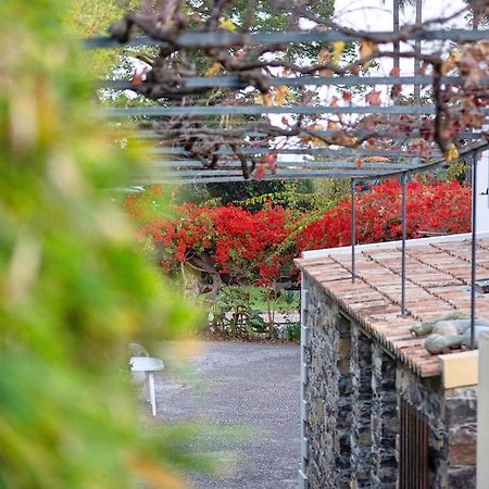 Apartmán Ourmadeira - Loja Da Lenha, Charming Funchal  Exteriér fotografie