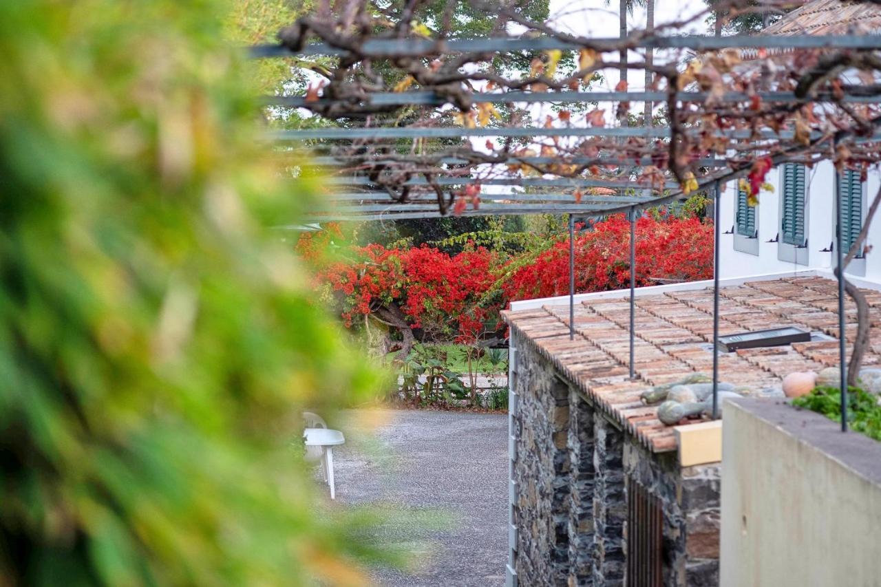 Apartmán Ourmadeira - Loja Da Lenha, Charming Funchal  Exteriér fotografie