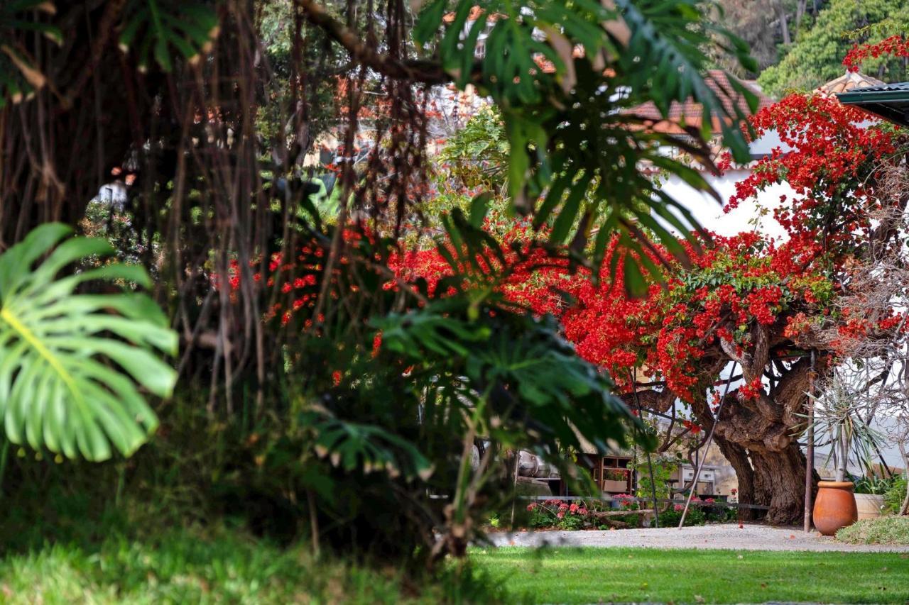 Apartmán Ourmadeira - Loja Da Lenha, Charming Funchal  Exteriér fotografie