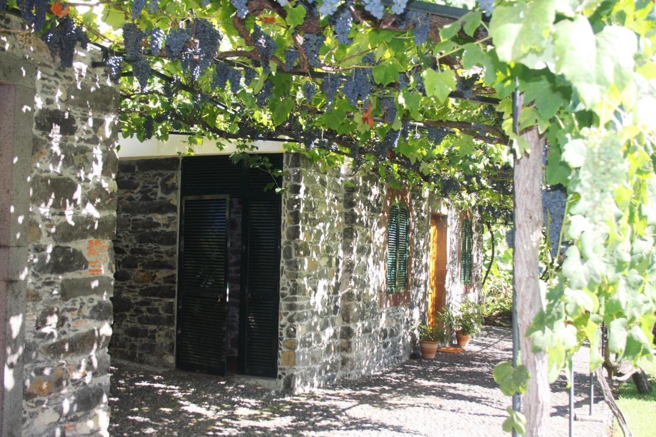 Apartmán Ourmadeira - Loja Da Lenha, Charming Funchal  Exteriér fotografie